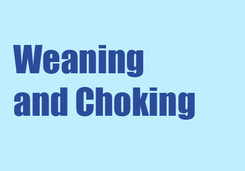 Weaning and choking 